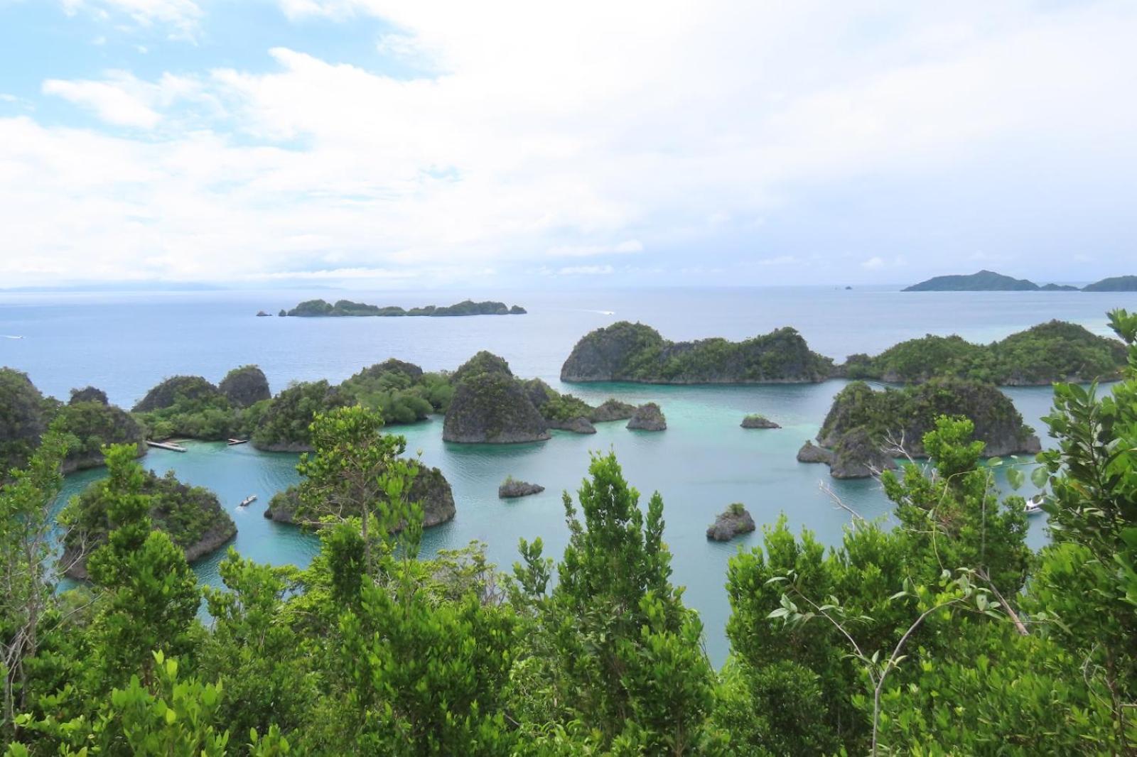 Nyanse Homestay - Raja Ampat Besir ภายนอก รูปภาพ