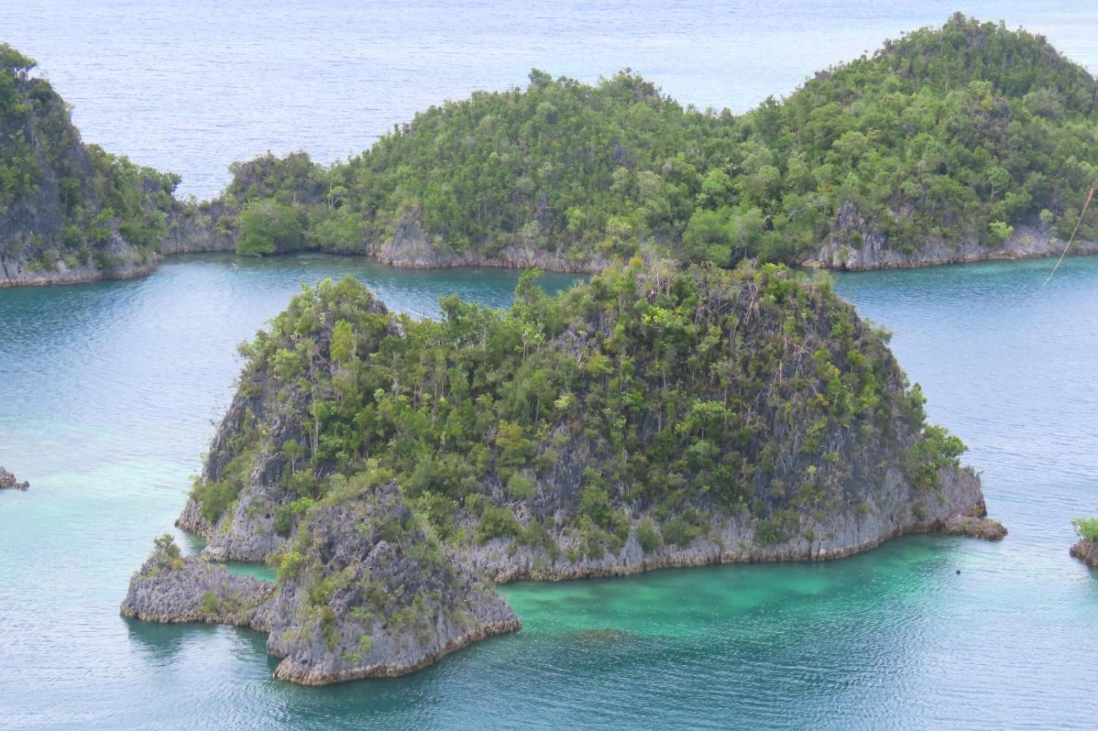 Nyanse Homestay - Raja Ampat Besir ภายนอก รูปภาพ