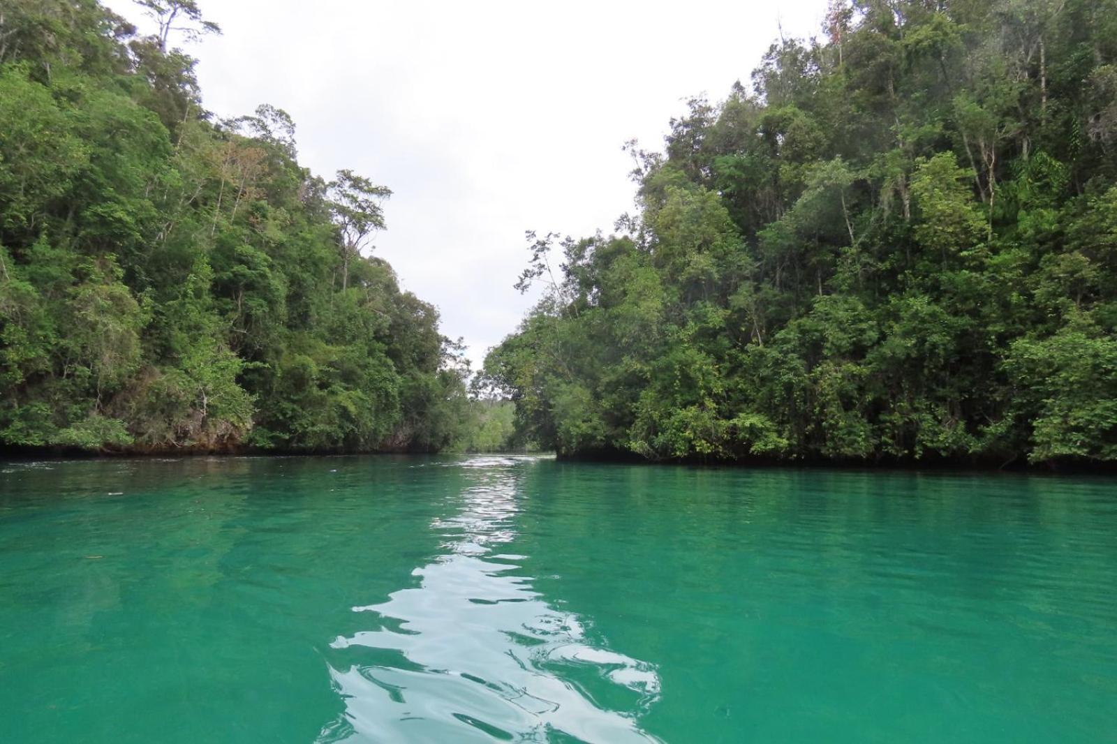 Nyanse Homestay - Raja Ampat Besir ภายนอก รูปภาพ