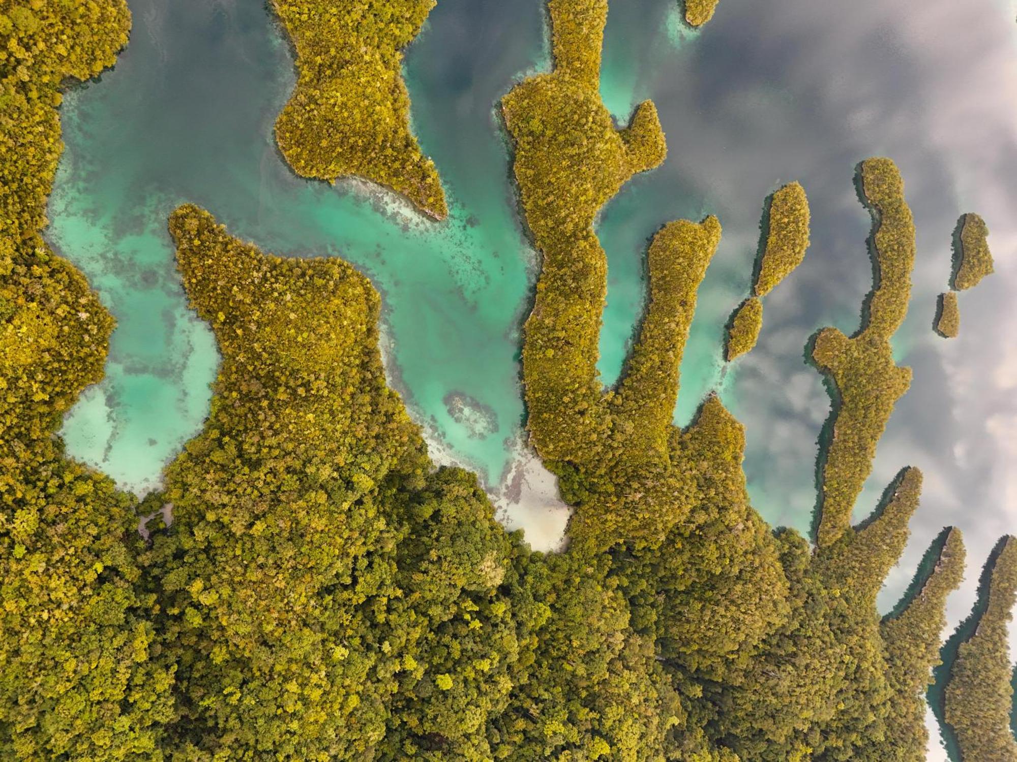 Nyanse Homestay - Raja Ampat Besir ภายนอก รูปภาพ