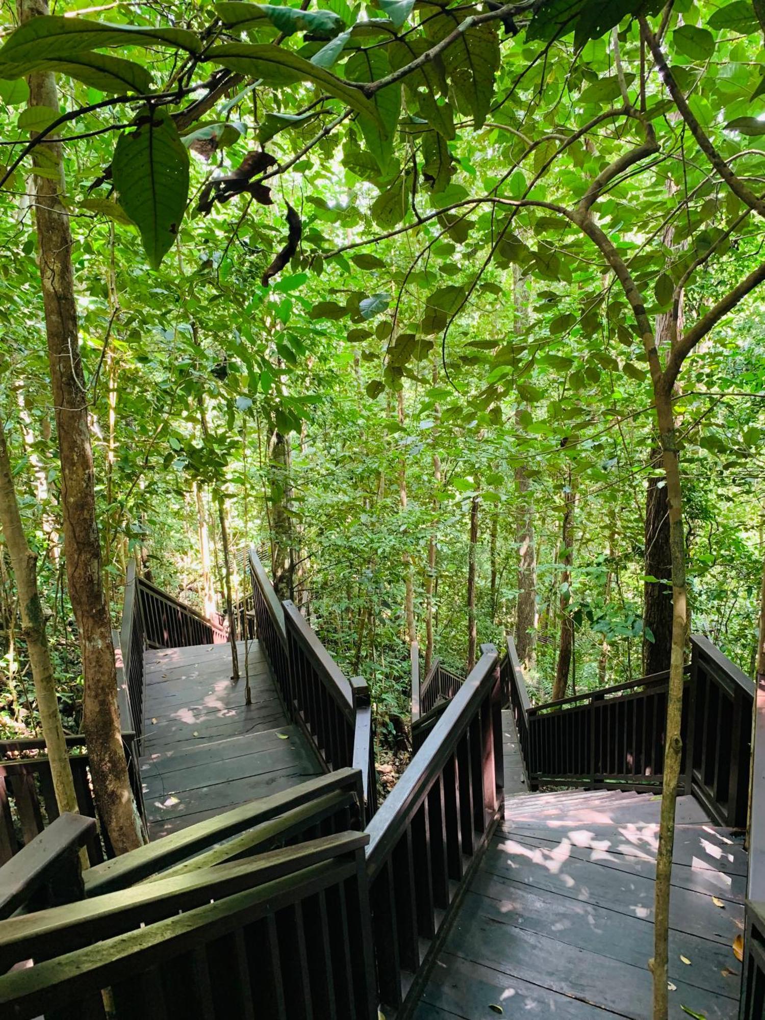 Nyanse Homestay - Raja Ampat Besir ภายนอก รูปภาพ