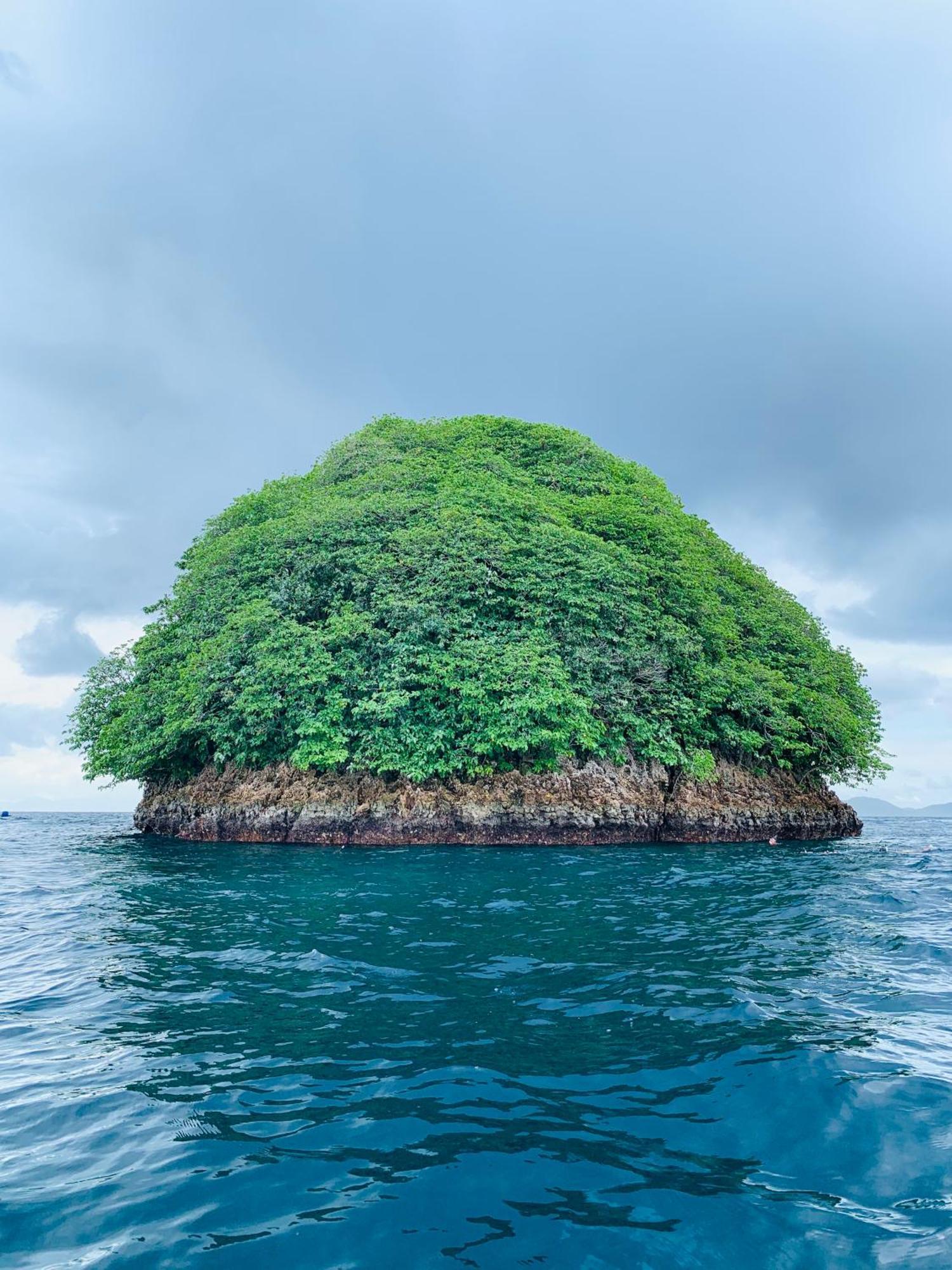 Nyanse Homestay - Raja Ampat Besir ภายนอก รูปภาพ