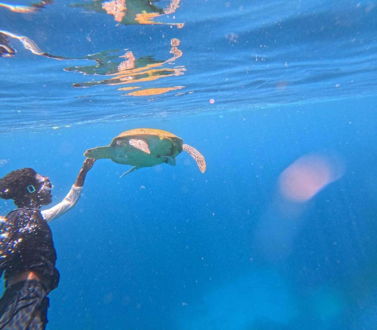 Nyanse Homestay - Raja Ampat Besir ภายนอก รูปภาพ