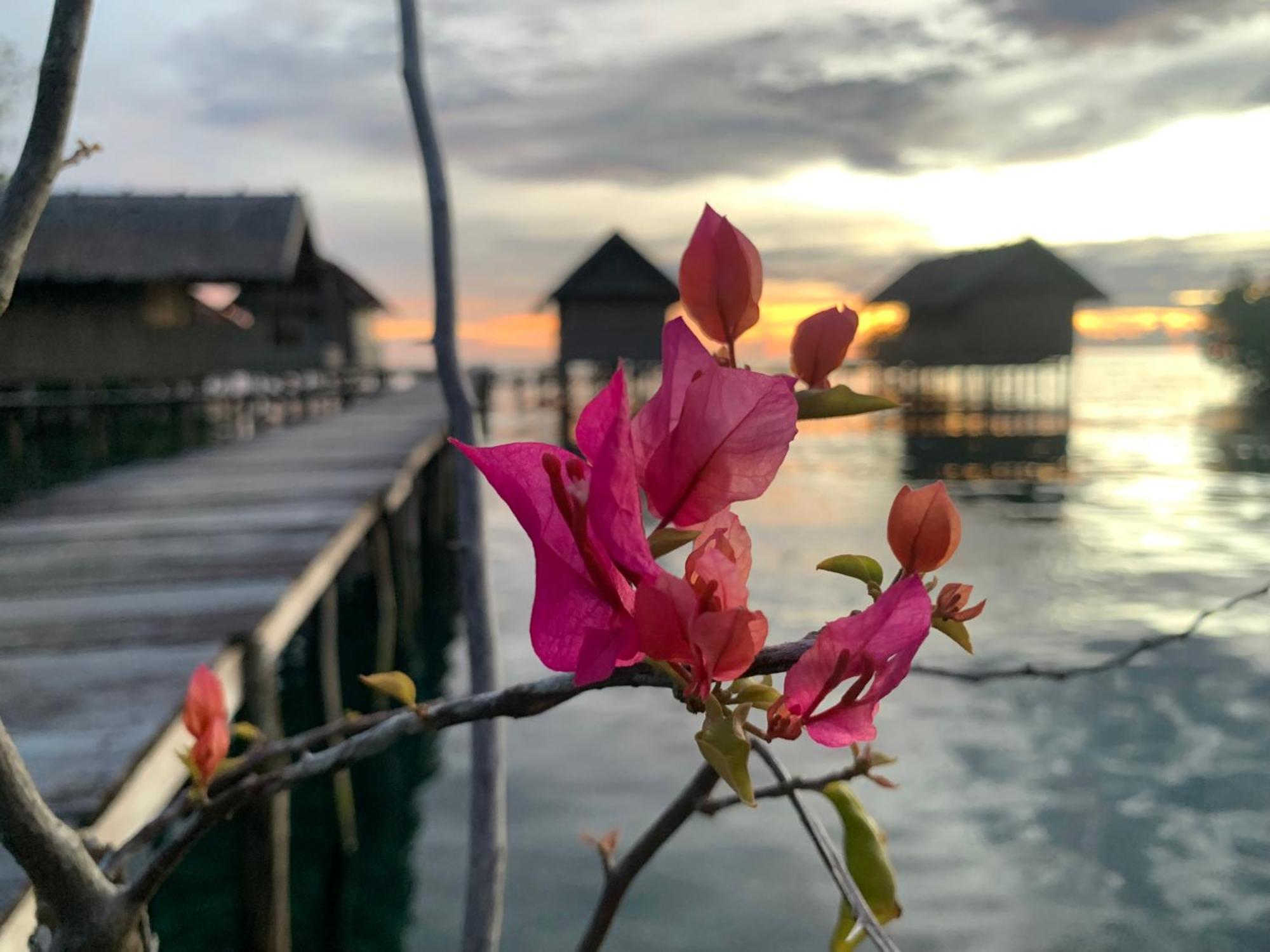 Nyanse Homestay - Raja Ampat Besir ภายนอก รูปภาพ